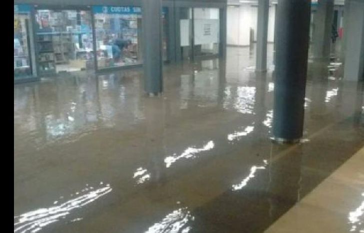 Hubo calles anegadas y se interrumpió la línea Roca.