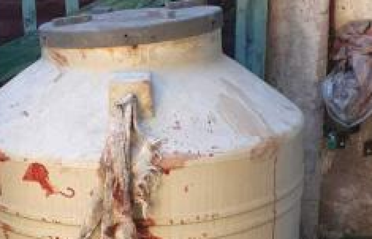 El cadaver de Juan Mangoni fue encontrado en un recipiente de agua.