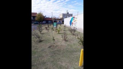 banfield este: cerraron otro basural y en el lugar hay arboles y arte