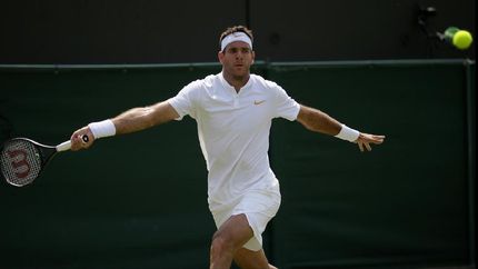 del potro ganaba pero lo freno la luz