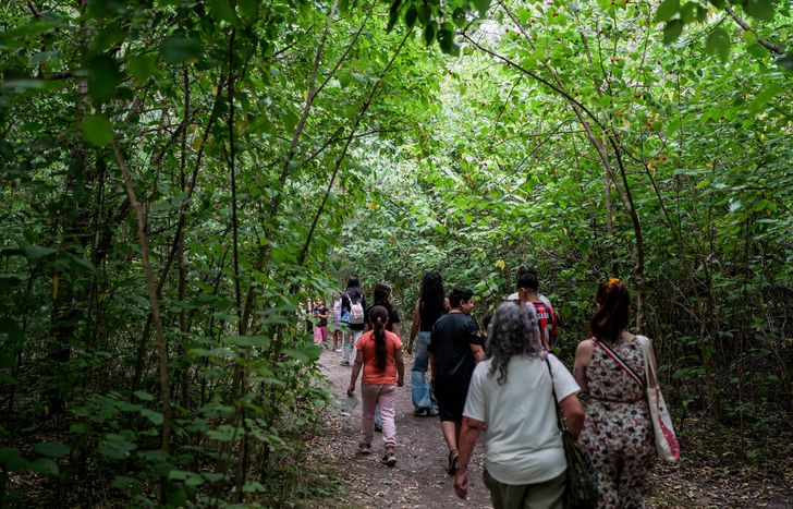 La Reserva Santa Catalina es una salida ideal para hacer en verano.