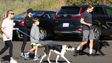 la perra vida de reese witherspoon