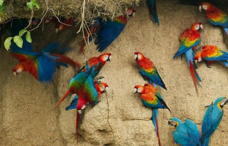 El especial se verá este jueves.