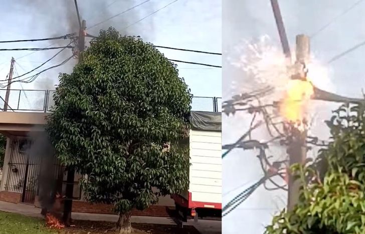 El incendio fue muy cerca de un árbol.