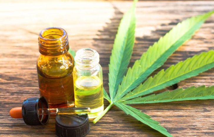 Hay 300 mil permisos otorgados durante la gestión de Alberto Fernández.