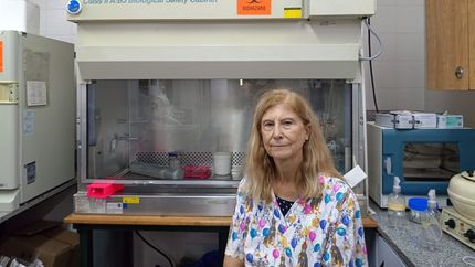 Nicky dedicó gran parte de su vida a la investigación, particularmente en la virología animal.