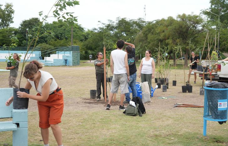 Con la forestación siguen mejorando los parques, plazas y calles de Lomas.