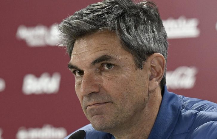 Pellegrino brindó su análisis tras la caída en el José Amalfitani.