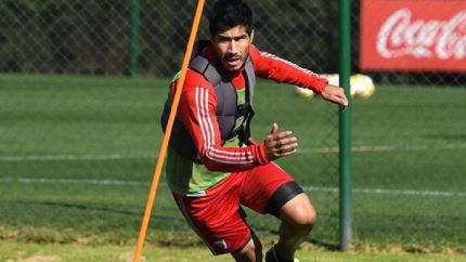 lollo, experiencia para la defensa