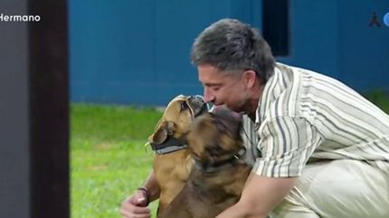 Devi con sus perros en Gran Hermano.