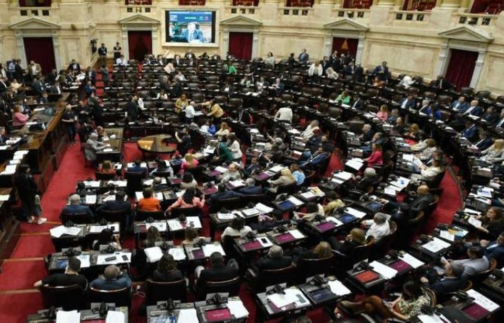 Ambientalistas expresaron su preocupación por la Ley Ómnibus de Javier Milei.