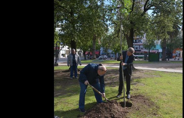 plantaron 44 árboles.