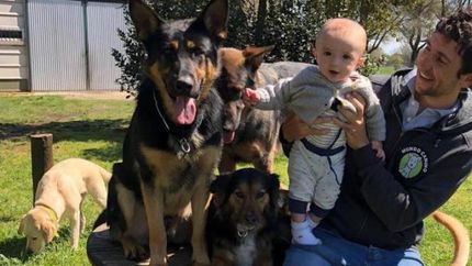 Los hermanos Arancedo disfrutan de su trabajo con los perros.