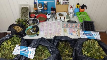 villa galicia: un hombre denuncio a su hijo por tener marihuana para la venta
