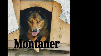un hogar para montaner.