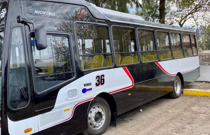 Cuentan con GPS y botón antipánico.