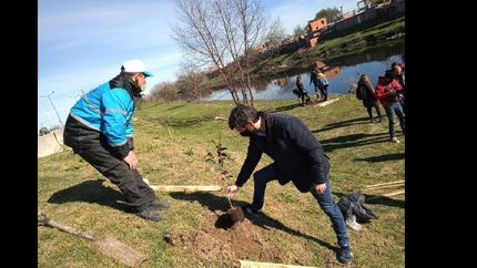 ¿en que espacios publicos y barrios de lomas avanza el plan de forestacion?