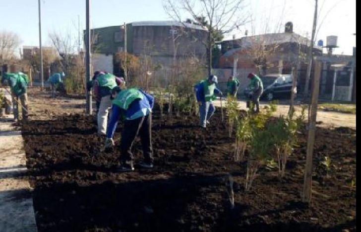 durante los últimos días, las cuadrillas de eco guardianes trabajaron en espacios de fiorito, banfield y llavallol.
