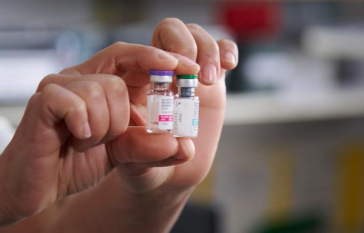 Se acerca la época de mayor proliferación del mosquito Aedes Aegypti.