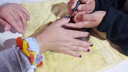 Una alternativa para embellecer a las vecinas gratis.