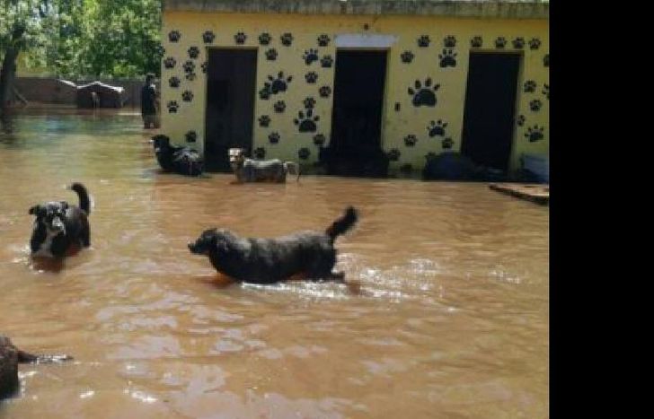 El refugio había vivido una situación similar en 2014.