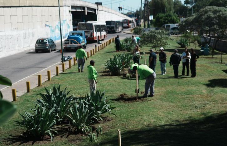 Hicieron plantaciones en las colectoras de la Autopista Presidente Perón.
