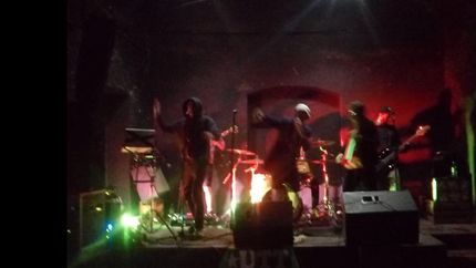 pogo rural y agite en domselaar