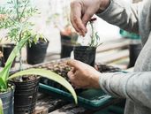 En Lomas trabajan con el paradigma de la soberanía alimentaria.