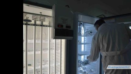 un investigador que desarrolla alternativas ecologicas para evitar el uso de herbicidas