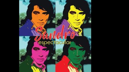 llega la expo de sandro a lomas