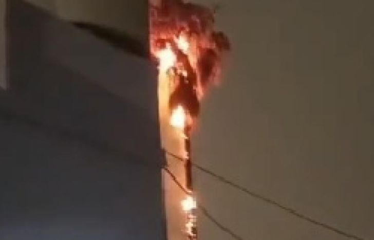 Una imagen que sorprendió a los vecinos de la zona.