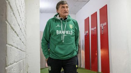 Falcioni espera por los refuerzos.