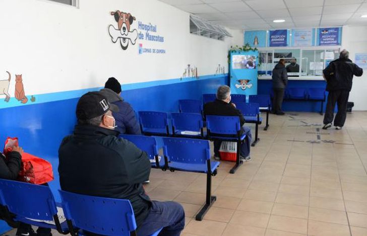 El año pasado atendieron a 12.700 mascotas.
