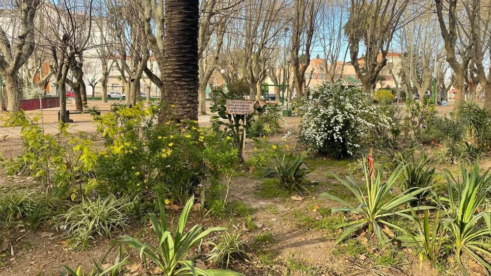 Los vecinos de Turdera lograron mantener el lugar intacto en estos seis años.&nbsp;
