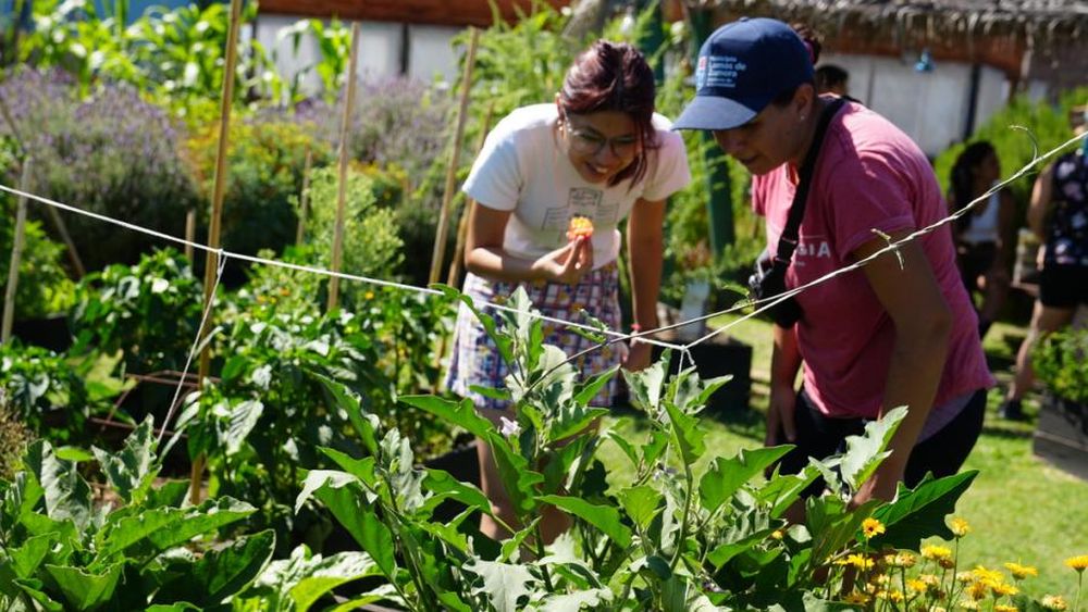 En los talleres de huerta brindan conocimientos sobre cultivos y control de plagas.