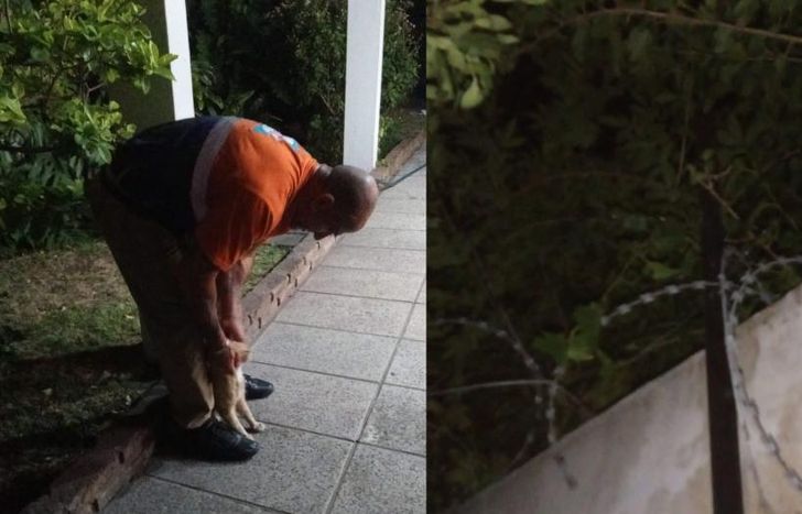 Lo rescataron anoche.