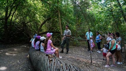 Se viene un mes lleno de actividades para conectar con la naturaleza.