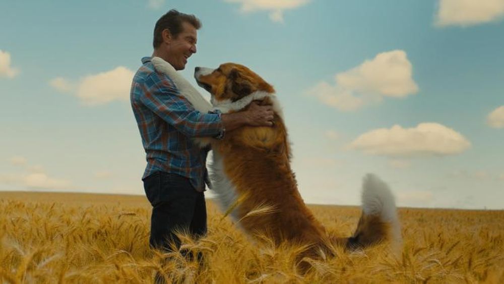 Recomendable film.