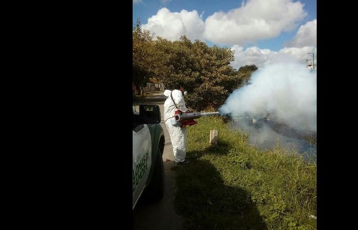las tareas de fumigación y desratización se realizaron en lugares críticos.
