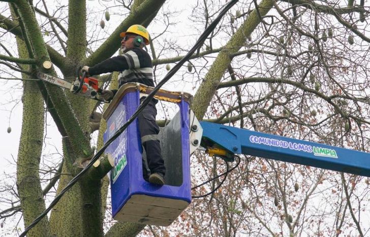 Las cuadrillas usan diferentes máquinas y vehículos para hacer las podas.