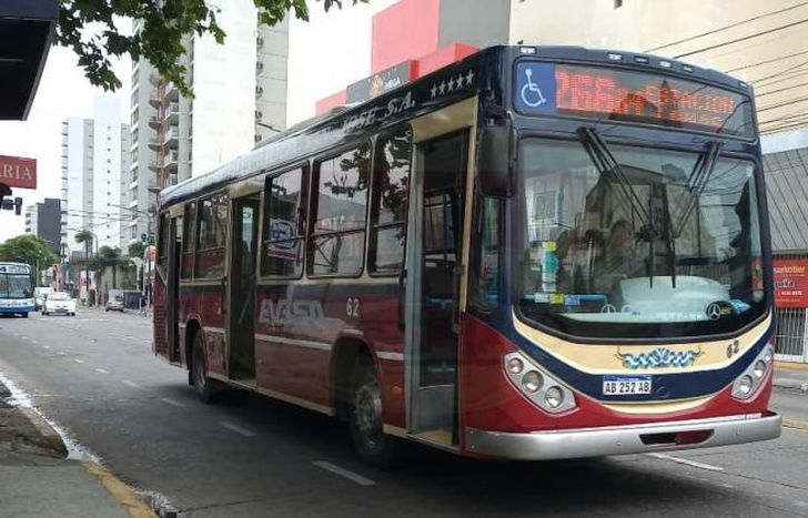 El ramal 6 de la línea 266 dejará de salir desde Banfield.