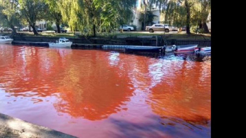Tigre: confirman que lo que tiñó el río de rojo fue un vuelco clandestino