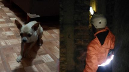 Defensa Civil de Lomas trabajó dos horas para salvar al perrito.