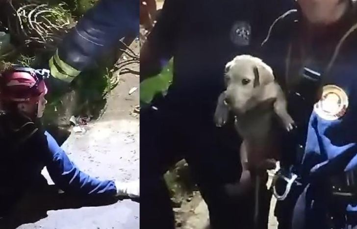 El operativo quedó filmado.