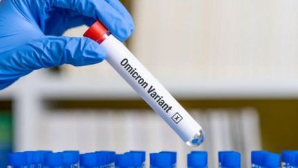 Aseguran que los síntomas de la variante Ómicron son leves.