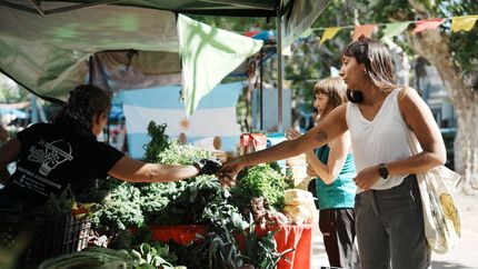 Una propuesta ideal para disfrutar del finde en Banfield. Una propuesta ideal para disfrutar del finde en Banfield.