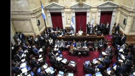 Legalización del aborto: comenzó la sesión en el Senado