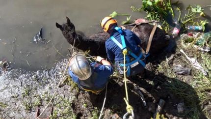 Diario La Unión | 142250.jpg