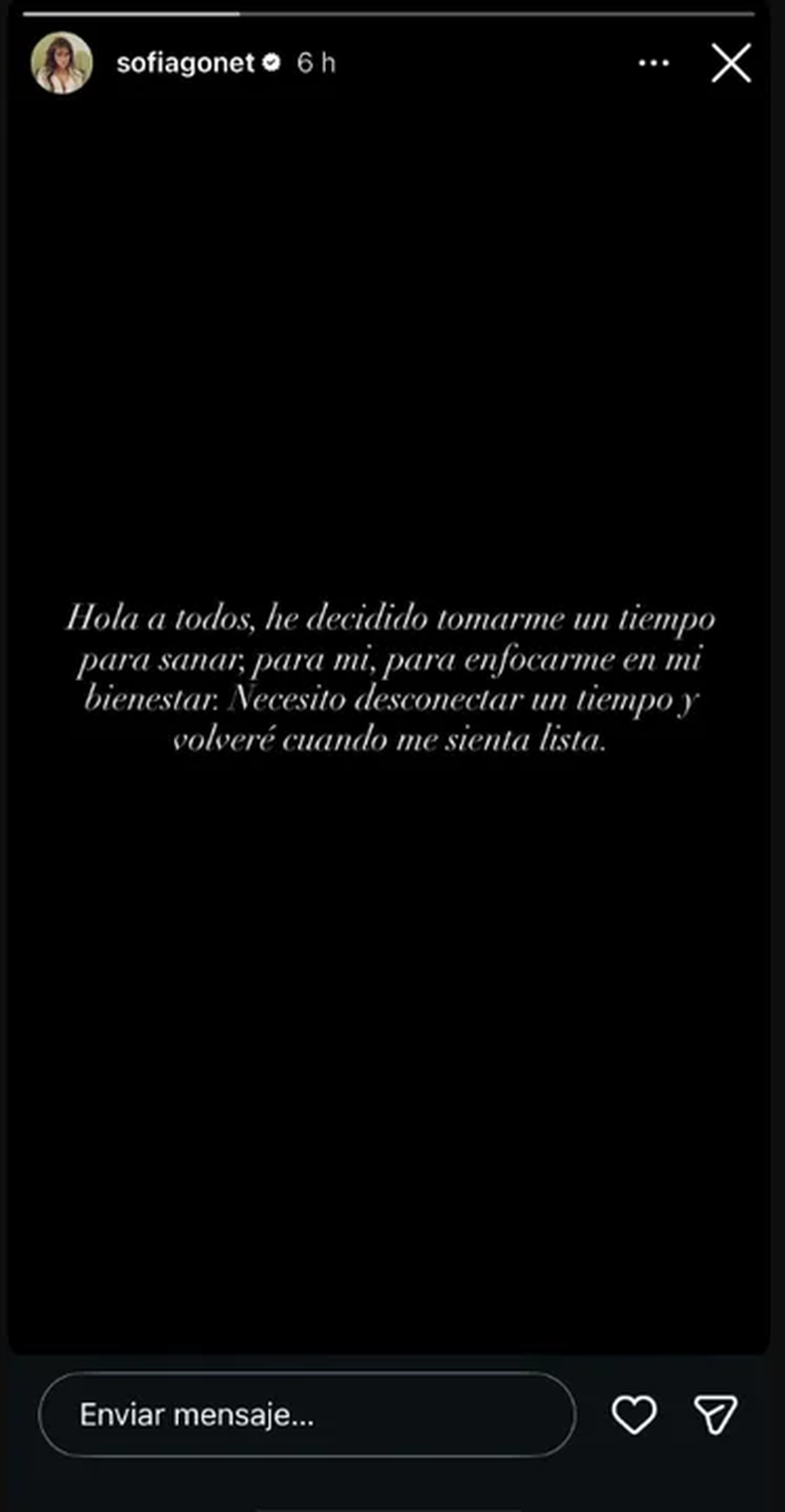 El posteo de Sofía Gonet en las redes sociales tras su separación de Homero Pettinato. 