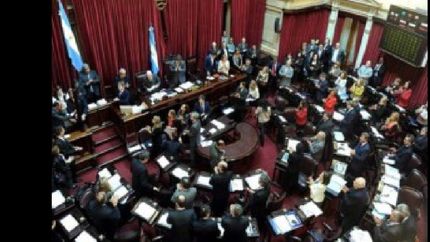 senado